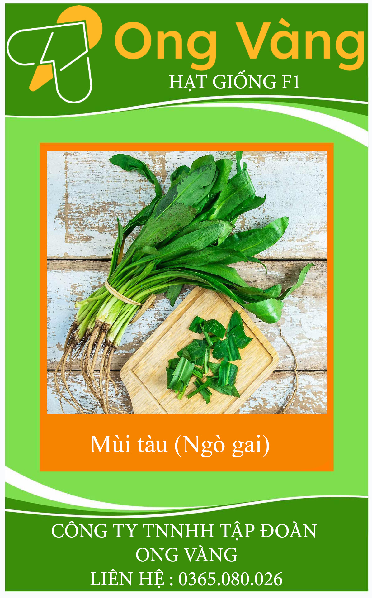 Hạt giống Ngò gai