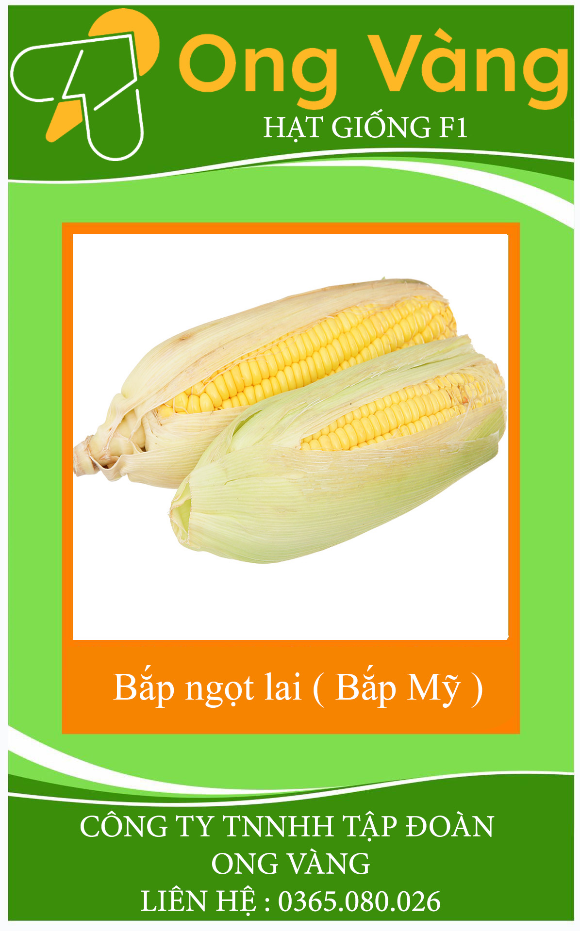 Hạt giống Bắp ngọt lai ( Bắp Mỹ ) F1
