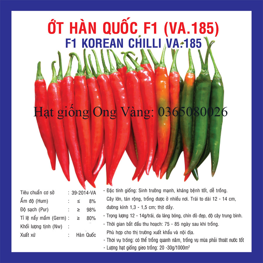 Hạt giống ớt sừng Hàn Quốc