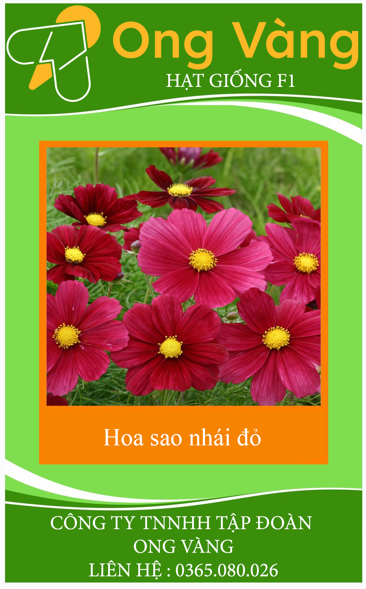 Hạt Giống Hoa Sao Nhái Đỏ