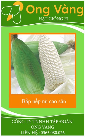 Hạt giống Bắp nếp nù cao sản
