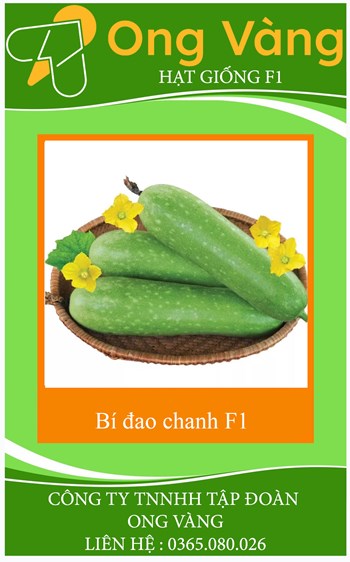 Hạt giống Bí Đao Chanh F1 WG9