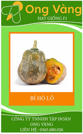 HẠT GIỐNG BÍ HỒ LÔ