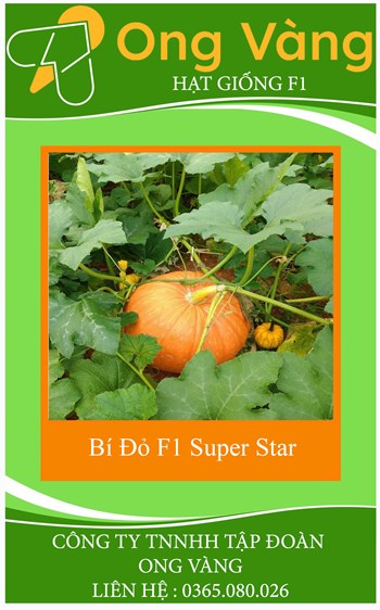 Hạt giống Bí Đỏ F1 Super Star