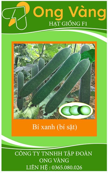 Hạt giống Bí xanh ( Bí sặt )