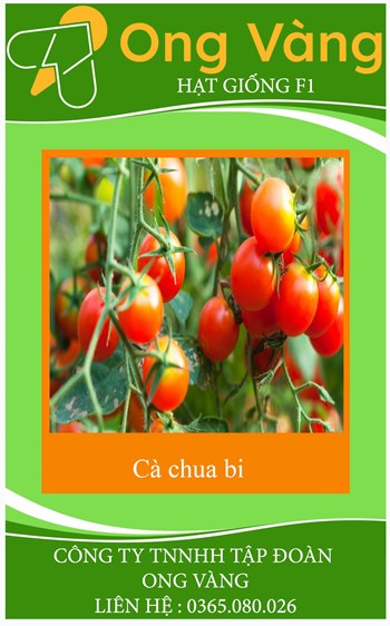 Hạt giống Cà Chua Bi F1