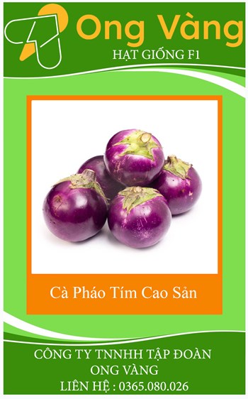 Hạt giống Cà Pháo Tím Cao Sản