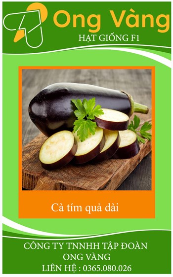 Hạt Giống Cà Tím