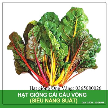 Hạt giống cải cầu vồng