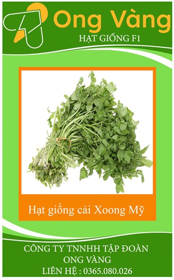 Hạt giống Xà lách xoong Mỹ