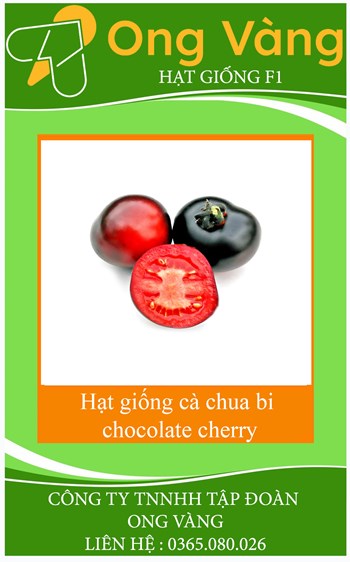 Hạt giống cà chua cherry đen F1