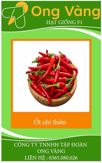 Hạt Giống Ớt Chỉ Thiên Siêu Cay