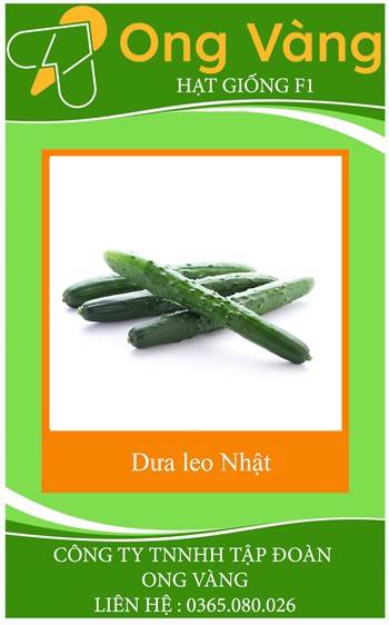 Hạt giống Dưa Leo Nhật F1