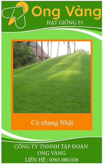 HẠT GIỐNG CỎ NHUNG NHẬT