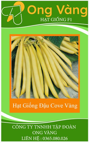Hạt Giống Đậu Cove Vàng