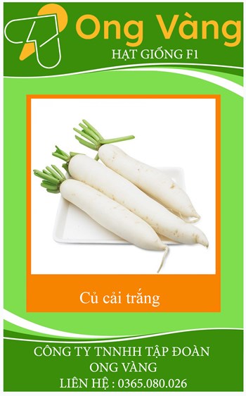 Hạt giống Củ Cải Trắng
