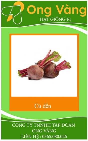 Hạt giống củ dền CRIMSON