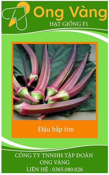 Hạt giống Đậu bắp đỏ
