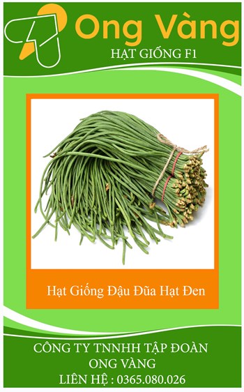 Hạt Giống Đậu Đũa Hạt Đen