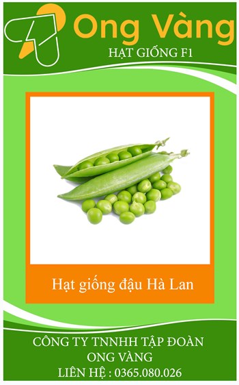 Hạt giống đậu hà lan