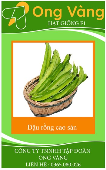 Hạt Giống Đậu Rồng Cao Sản