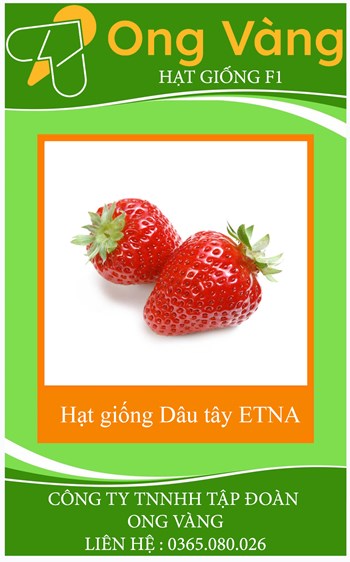 Hạt giống Dâu tây ETNA