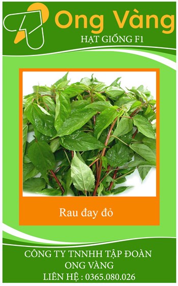 Hạt giống rau đay đỏ cao sản
