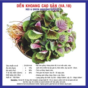 Hạt Giống Dền lá tròn