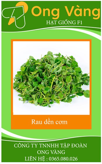 Hạt giống Rau dền cơm