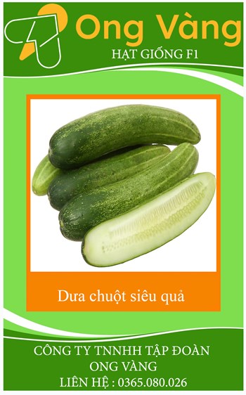 Hạt giống Dưa Leo Siêu Năng Suất