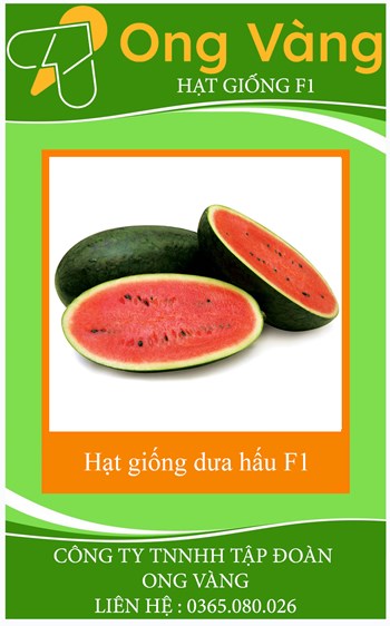 Hạt giống dưa hấu F1