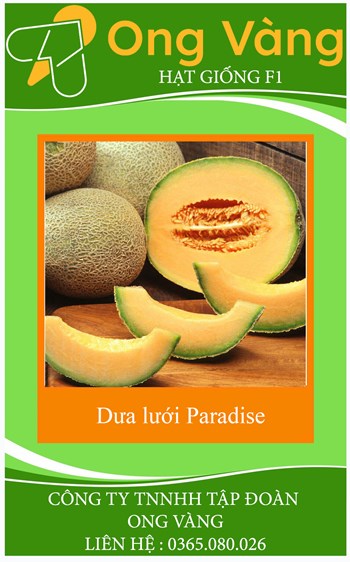Hạt giống dưa lưới Paradise