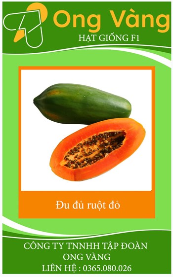 Hạt giống đu đủ ruột đỏ
