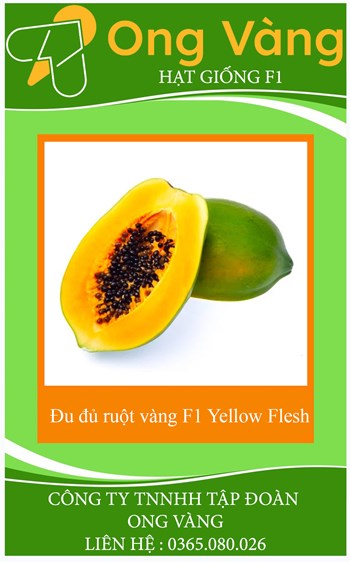 Hạt giống Đu đủ ruột vàng F1 Yellow Flesh