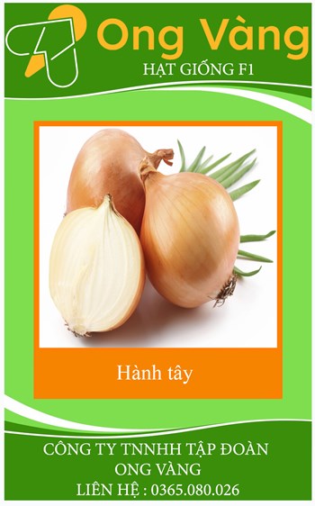 Hạt Giống Củ Hành