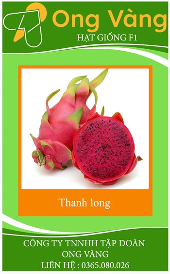 Hạt Giống Thanh Long
