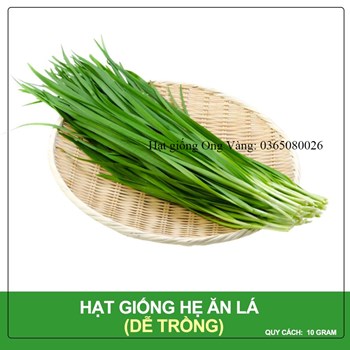 Hạt giống Hẹ Cao Sản