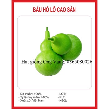 Hạt giống Bầu Hồ Lô