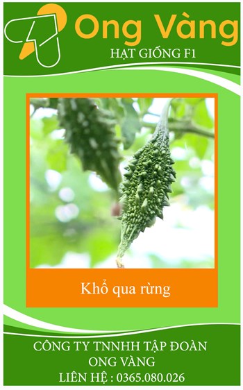 Hạt Giống Khổ Qua Rừng