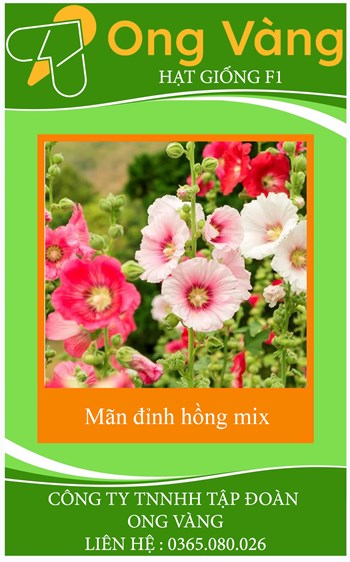 Hạt Giống Hoa Mãn Đinh Hồng Đơn