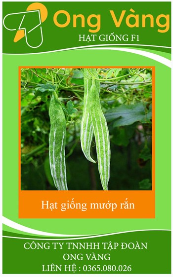 Hạt giống mướp rắn