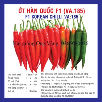 Hạt giống ớt sừng Hàn Quốc