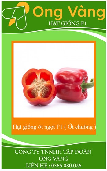 Hạt giống ớt ngọt F1 ( Ớt chuông )
