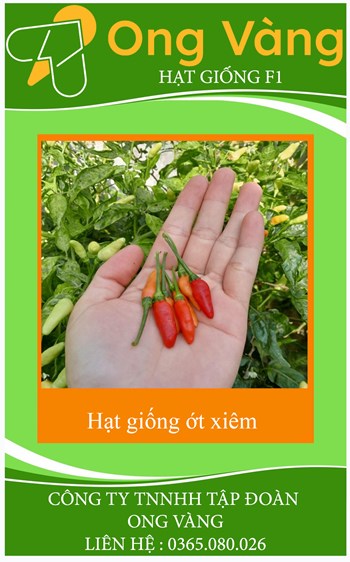 Hạt Giống Ớt Xiêm