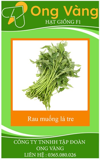 Hạt Giống Rau Muống Lá Tre