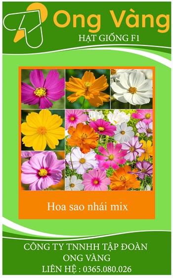 Hạt Giống Hoa Sao Nhái Mix Màu