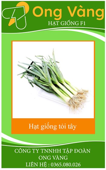 Hạt giống tỏi tây