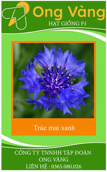 Hạt giống hoa Trúc Mai xanh