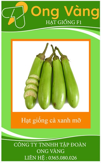 Hạt giống cà xanh mỡ