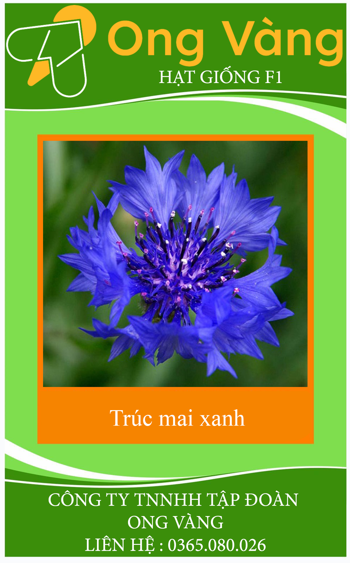 Hạt giống hoa Trúc Mai xanh